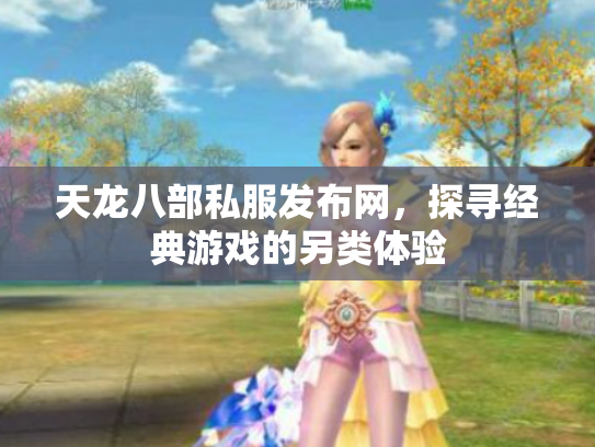 天龙八部私服发布网，探寻经典游戏的另类体验