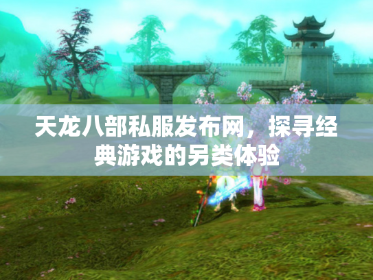 天龙八部私服发布网，探寻经典游戏的另类体验
