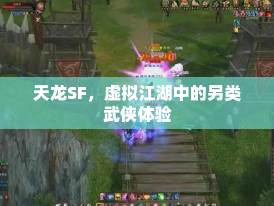 天龙SF，虚拟江湖中的另类武侠体验