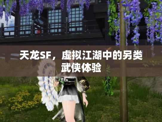 天龙SF，虚拟江湖中的另类武侠体验