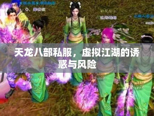 天龙八部私服，虚拟江湖的诱惑与风险