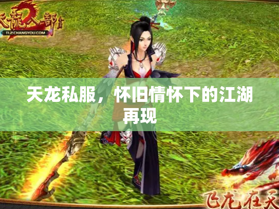 天龙私服，怀旧情怀下的江湖再现