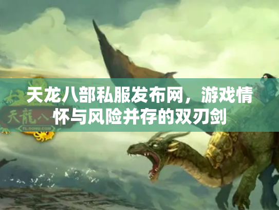 天龙八部私服发布网，游戏情怀与风险并存的双刃剑