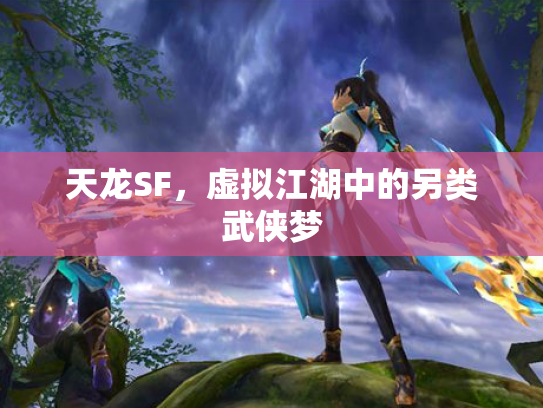 天龙SF，虚拟江湖中的另类武侠梦