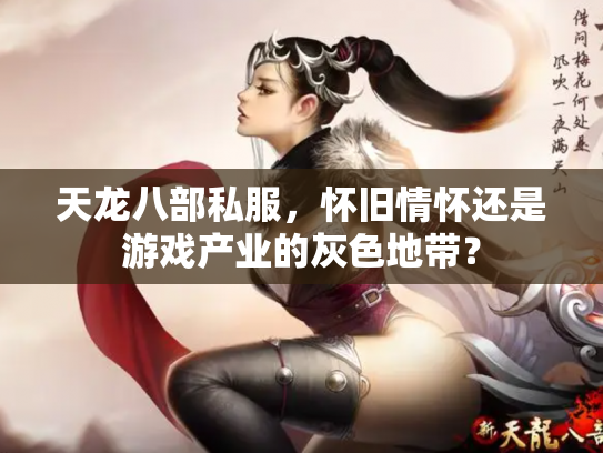 天龙八部私服，怀旧情怀还是游戏产业的灰色地带？