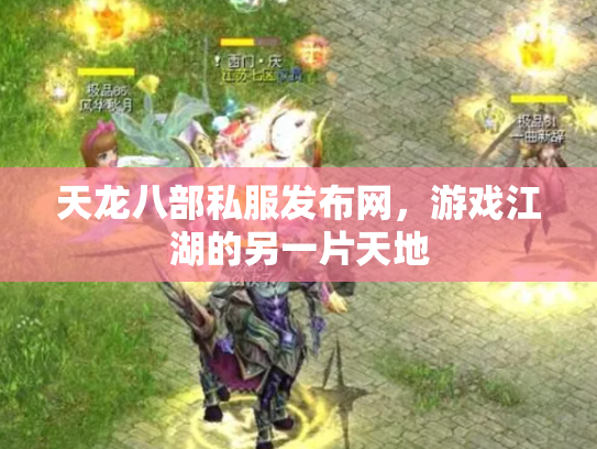 天龙八部私服发布网，游戏江湖的另一片天地