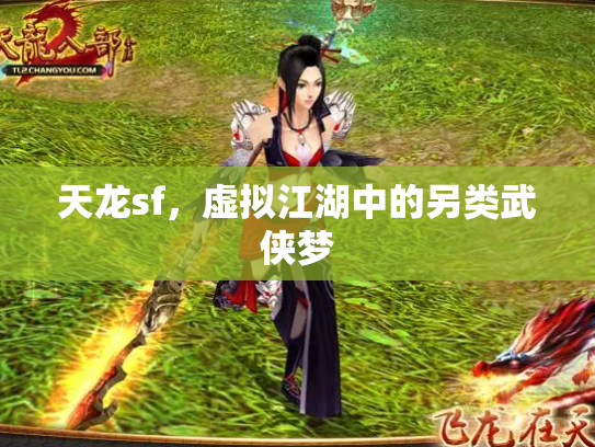 天龙sf，虚拟江湖中的另类武侠梦