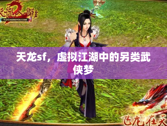 天龙sf，虚拟江湖中的另类武侠梦