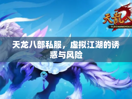 天龙八部私服，虚拟江湖的诱惑与风险