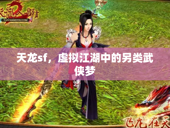 天龙sf，虚拟江湖中的另类武侠梦