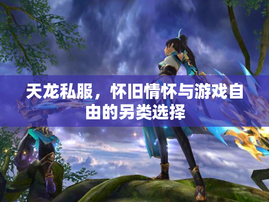天龙私服，怀旧情怀与游戏自由的另类选择