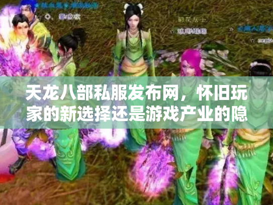 天龙八部私服发布网，怀旧玩家的新选择还是游戏产业的隐患？