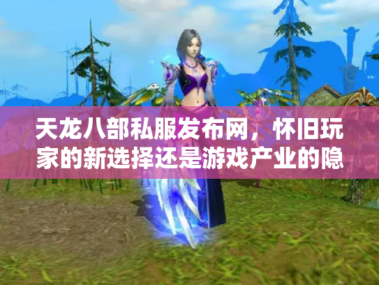 天龙八部私服发布网，怀旧玩家的新选择还是游戏产业的隐患？