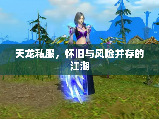 天龙私服，怀旧与风险并存的江湖
