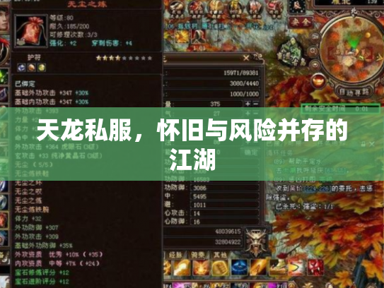 天龙私服，怀旧与风险并存的江湖