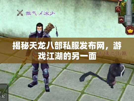 揭秘天龙八部私服发布网，游戏江湖的另一面