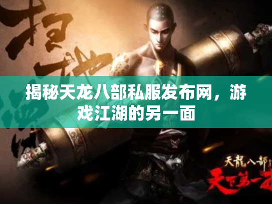 揭秘天龙八部私服发布网，游戏江湖的另一面