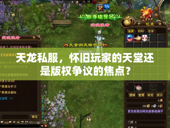 天龙私服，怀旧玩家的天堂还是版权争议的焦点？