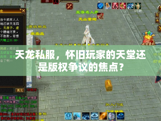 天龙私服，怀旧玩家的天堂还是版权争议的焦点？