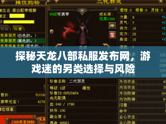 探秘天龙八部私服发布网，游戏迷的另类选择与风险