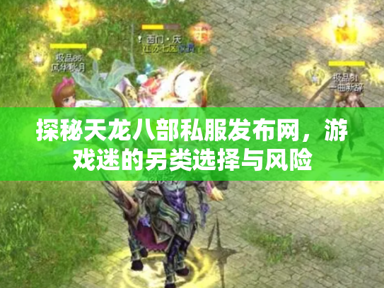 探秘天龙八部私服发布网，游戏迷的另类选择与风险