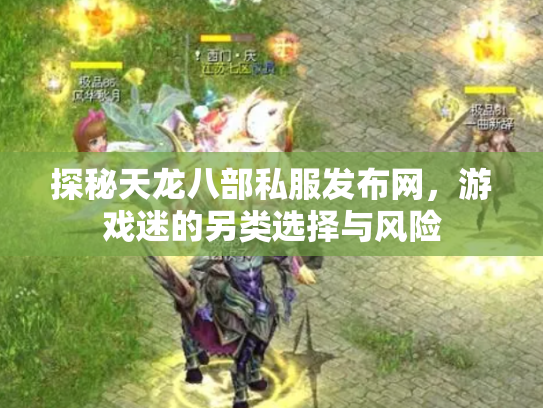 探秘天龙八部私服发布网，游戏迷的另类选择与风险