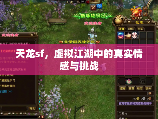 天龙sf，虚拟江湖中的真实情感与挑战