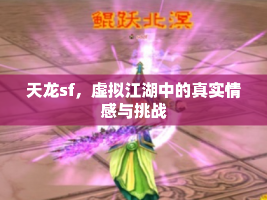 天龙sf，虚拟江湖中的真实情感与挑战
