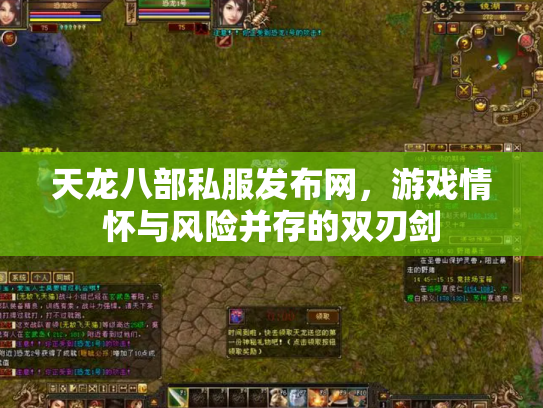 天龙八部私服发布网，游戏情怀与风险并存的双刃剑