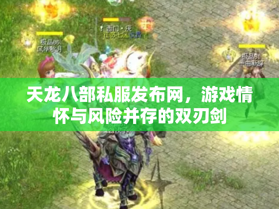 天龙八部私服发布网，游戏情怀与风险并存的双刃剑