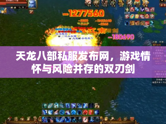 天龙八部私服发布网，游戏情怀与风险并存的双刃剑