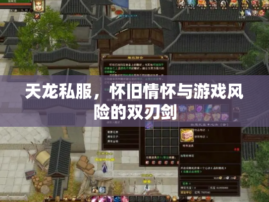 天龙私服，怀旧情怀与游戏风险的双刃剑
