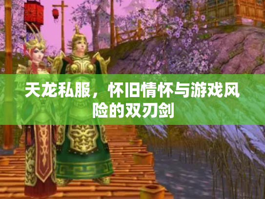 天龙私服，怀旧情怀与游戏风险的双刃剑