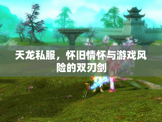 天龙私服，怀旧情怀与游戏风险的双刃剑
