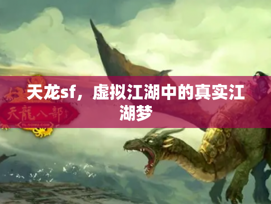 天龙sf，虚拟江湖中的真实江湖梦