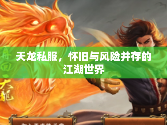 天龙私服，怀旧与风险并存的江湖世界