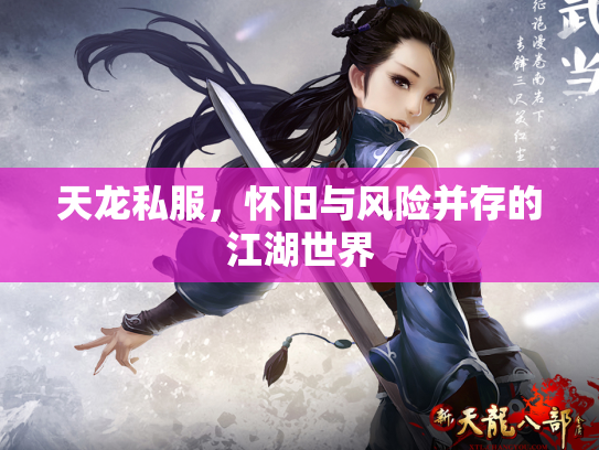 天龙私服，怀旧与风险并存的江湖世界
