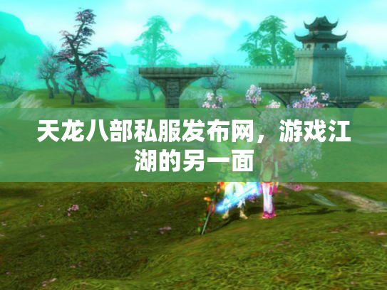 天龙八部私服发布网，游戏江湖的另一面