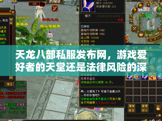 天龙八部私服发布网，游戏爱好者的天堂还是法律风险的深渊？