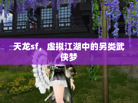 天龙sf，虚拟江湖中的另类武侠梦