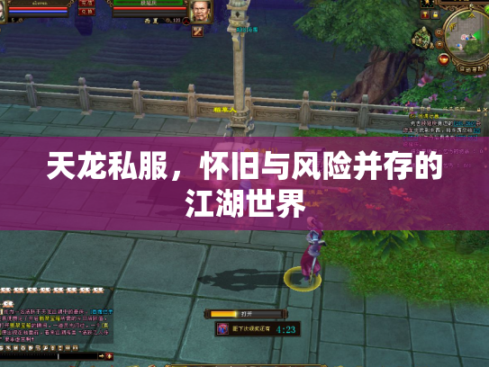 天龙私服，怀旧与风险并存的江湖世界