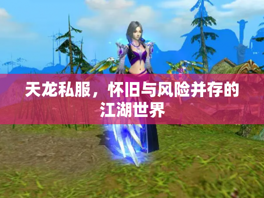 天龙私服，怀旧与风险并存的江湖世界