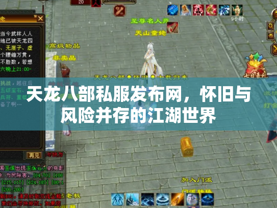 天龙八部私服发布网，怀旧与风险并存的江湖世界