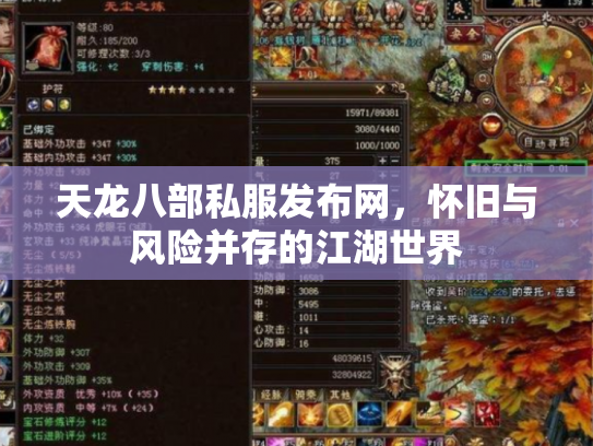 天龙八部私服发布网，怀旧与风险并存的江湖世界