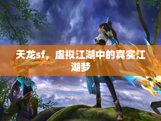 天龙sf，虚拟江湖中的真实江湖梦