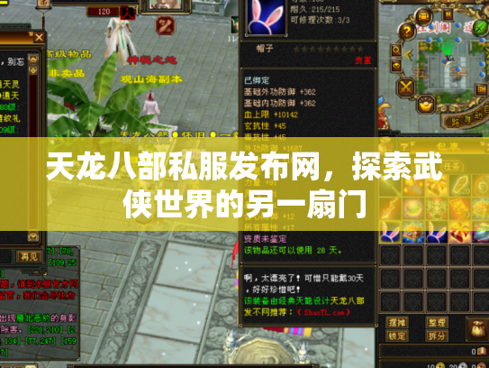天龙八部私服发布网，探索武侠世界的另一扇门