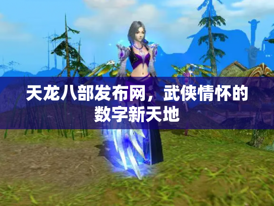 天龙八部发布网，武侠情怀的数字新天地