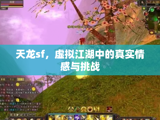 天龙sf，虚拟江湖中的真实情感与挑战