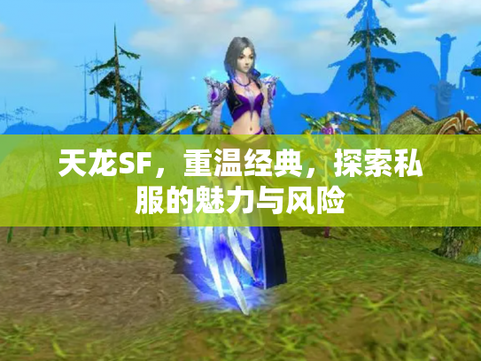 天龙SF，重温经典，探索私服的魅力与风险
