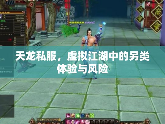 天龙私服，虚拟江湖中的另类体验与风险